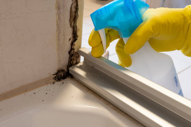 Best Emergency Mold Removal  in Fort Calhoun, NE