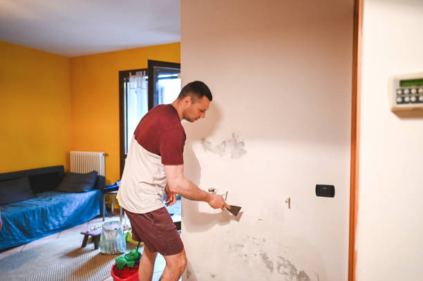 Best Residential Mold Removal  in Fort Calhoun, NE
